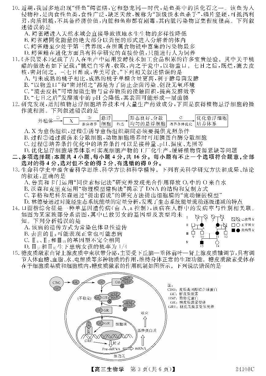 2024届广西北海市高三第一次模拟考试-生物试题(含答案)第3页