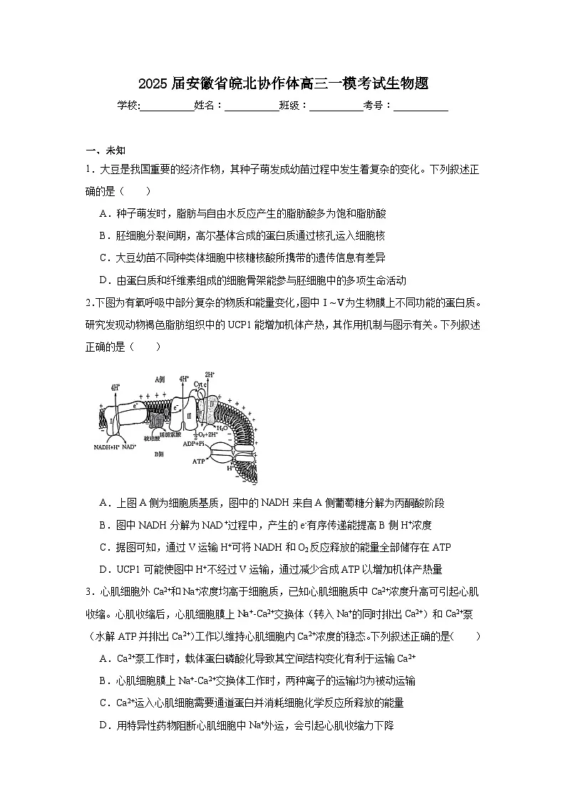 2025届安徽省皖北协作体高三一模考试生物题(无答案解析)第1页