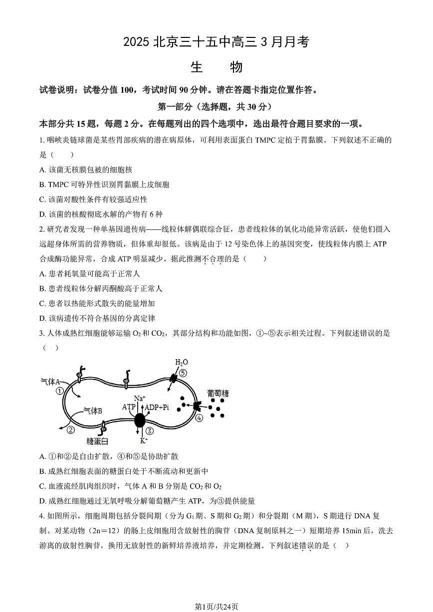 2025北京三十五中高三(下)3月月考生物试卷(教师版)第1页