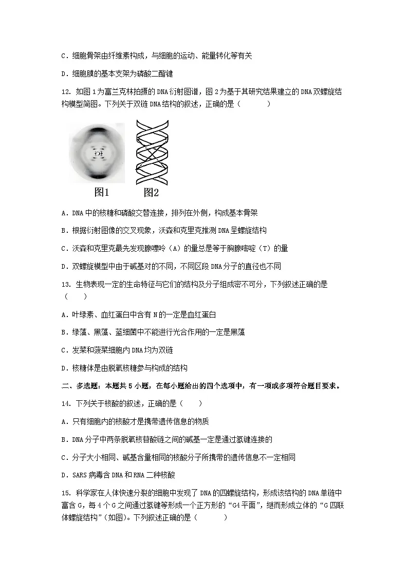 (人教版)2024-2025高一下学期生物课后练习(第3章 第2节 DNA的结构)+答案第3页