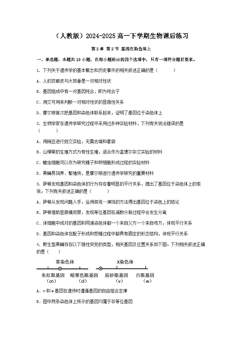 (人教版)2024-2025高一下学期生物课后练习(第2章 第2节 基因在染色体上)+答案第1页