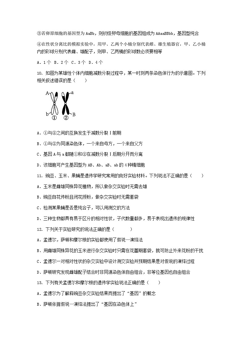 (人教版)2024-2025高一下学期生物课后练习(第2章 第2节 基因在染色体上)+答案第3页