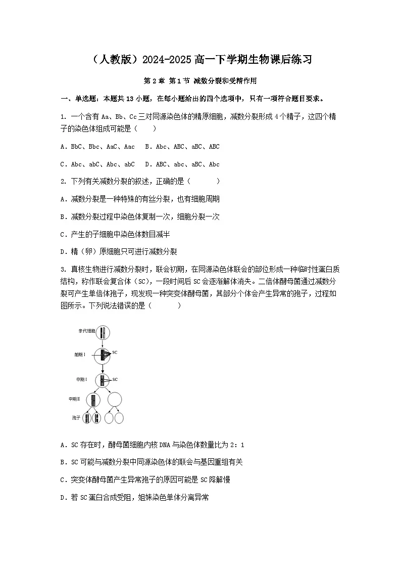 (人教版)2024-2025高一下学期生物课后练习(第2章第1节 减数分裂和受精作用)+答案第1页