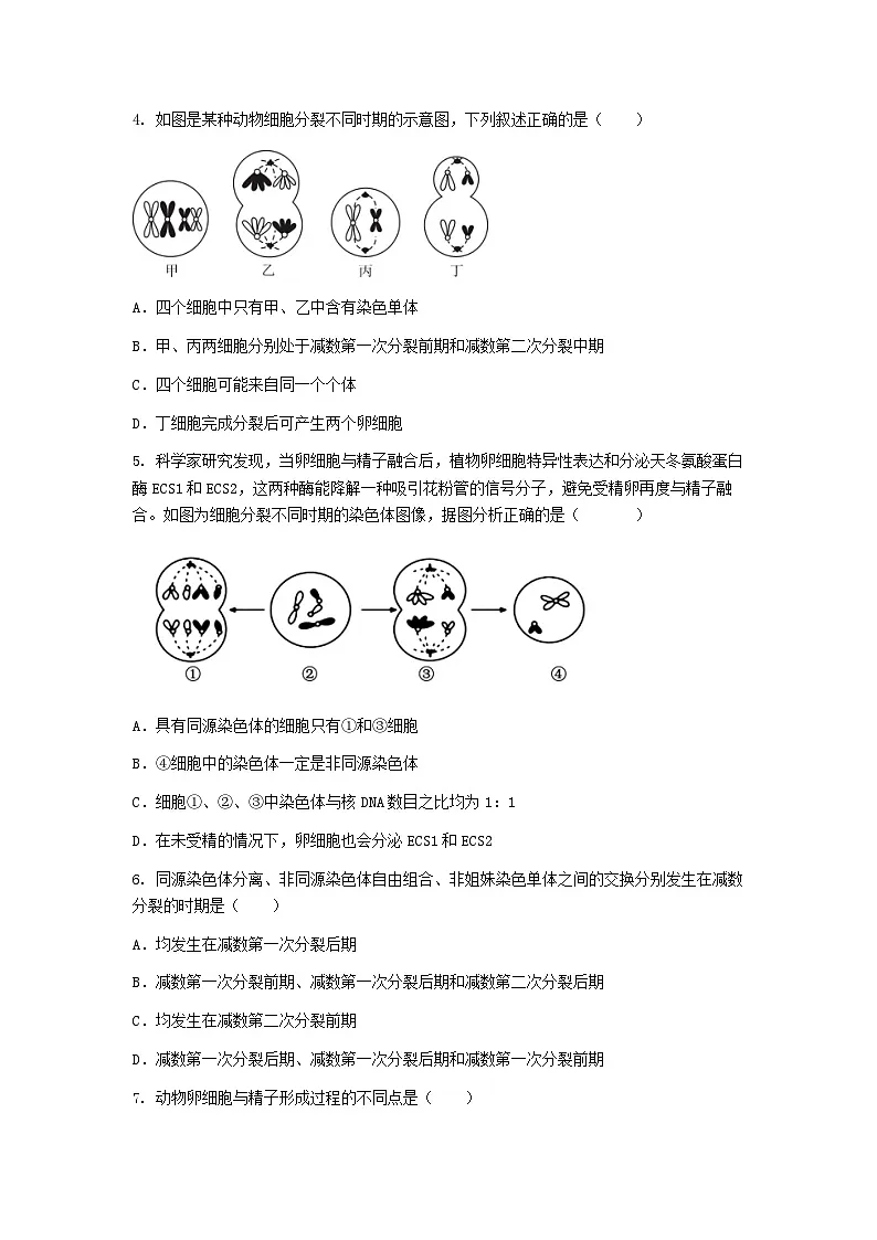 (人教版)2024-2025高一下学期生物课后练习(第2章第1节 减数分裂和受精作用)+答案第2页