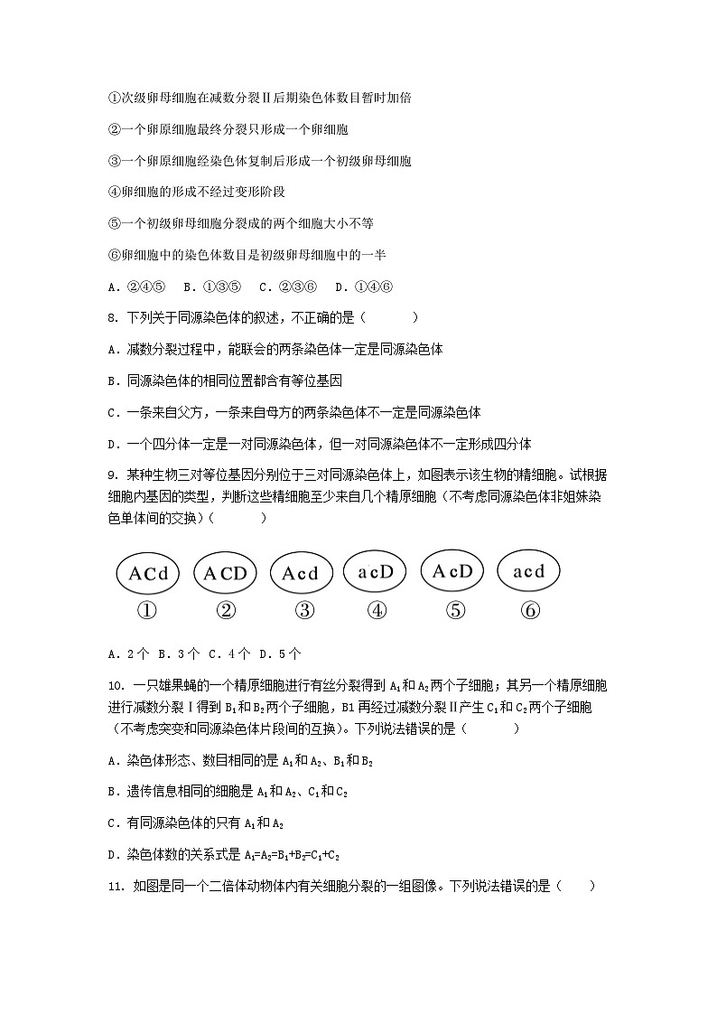 （人教版）2024-2025高一下學(xué)期生物課后練習(xí)(第2章第1節(jié) 減數(shù)分裂和受精作用)+答案第3頁