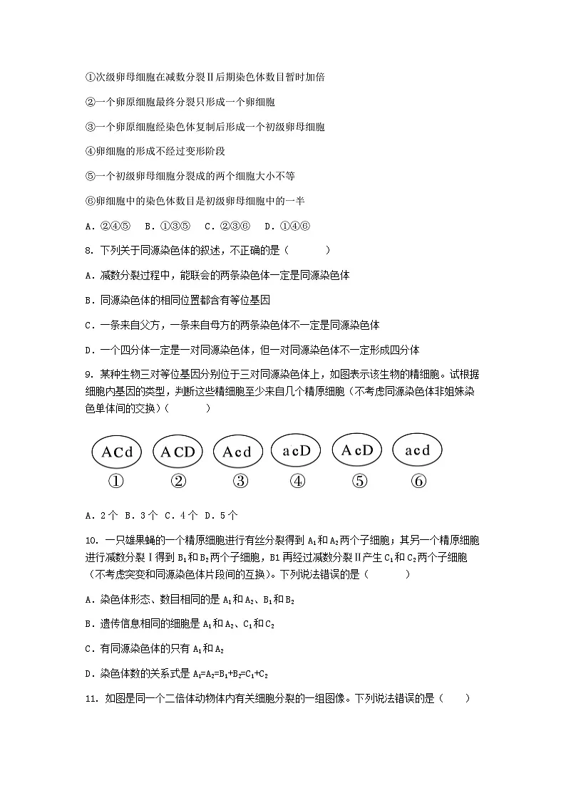 (人教版)2024-2025高一下学期生物课后练习(第2章第1节 减数分裂和受精作用)+答案第3页
