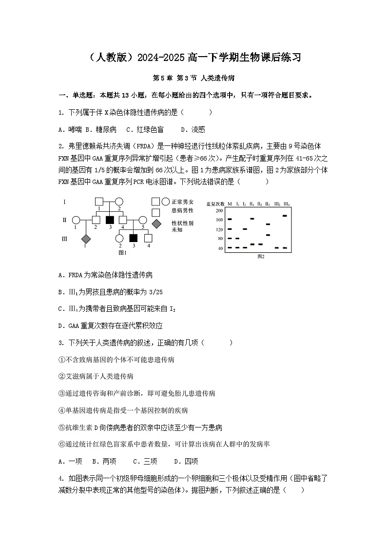 (人教版)2024-2025高一下学期生物课后练习(第5章 第3节 人类遗传病)+答案第1页