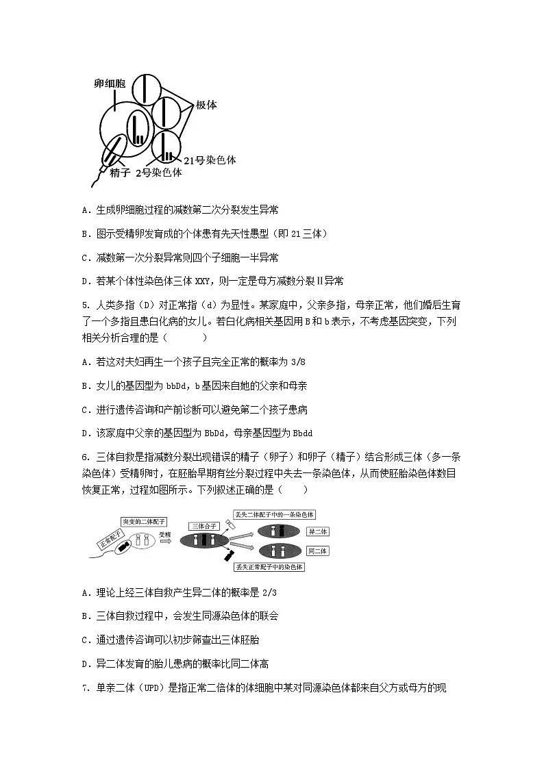 (人教版)2024-2025高一下学期生物课后练习(第5章 第3节 人类遗传病)+答案第2页