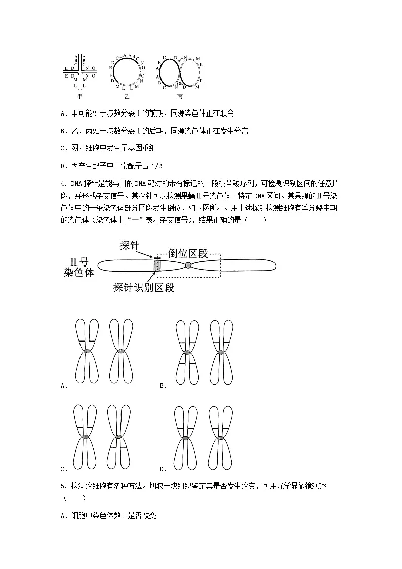 (人教版)2024-2025高一下学期生物(第5章 基因突变及其他变异)综合测试卷及答案第2页