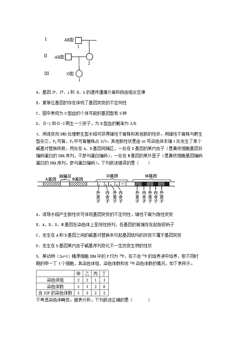 (人教版)2024-2025高一下学期生物课后练习(第5章 第1节 基因突变和基因重组)+答案第2页