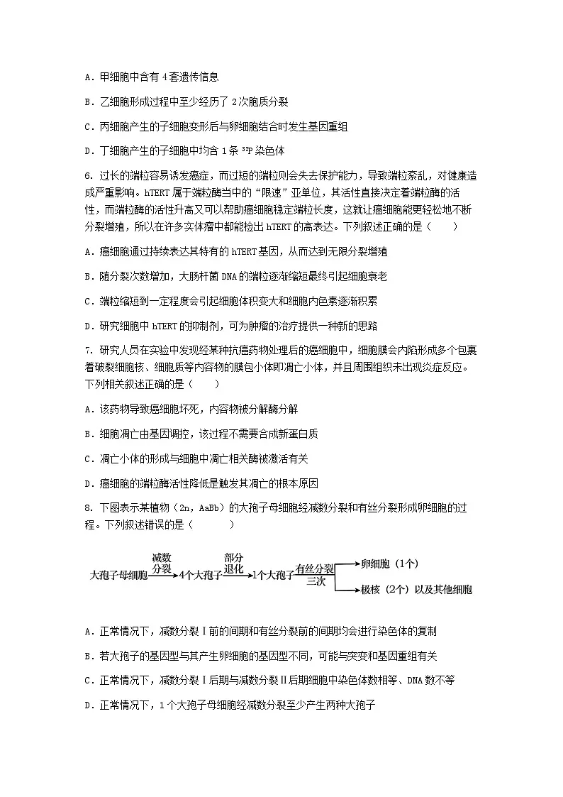 (人教版)2024-2025高一下学期生物课后练习(第5章 第1节 基因突变和基因重组)+答案第3页