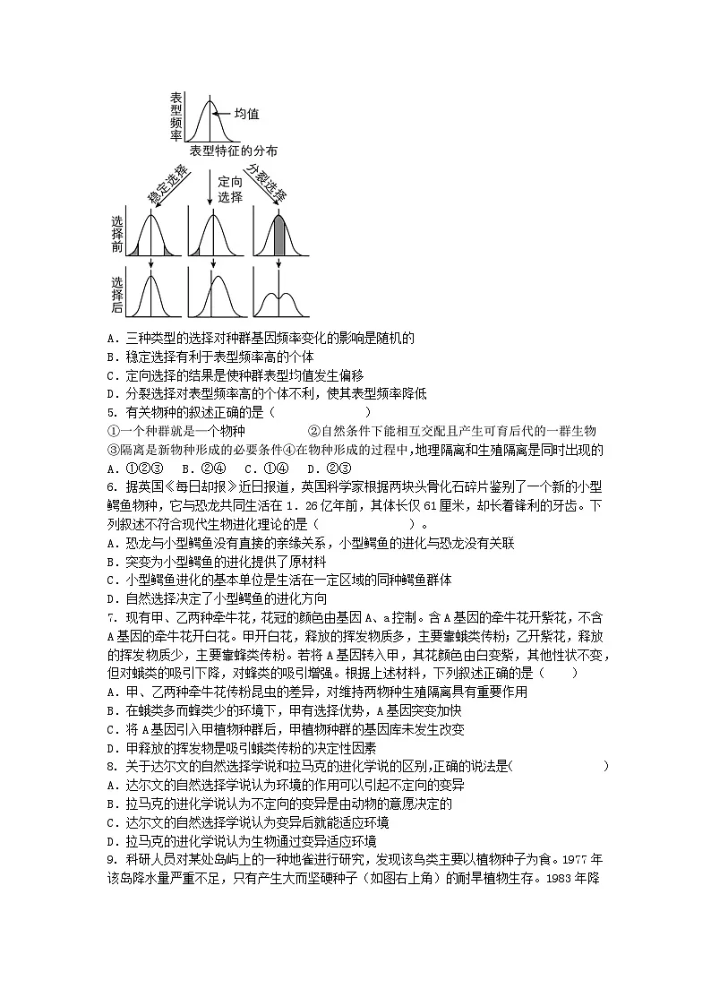 (人教版)2024-2025高一下学期生物(第6章 生物的进化)综合测试卷及答案第2页