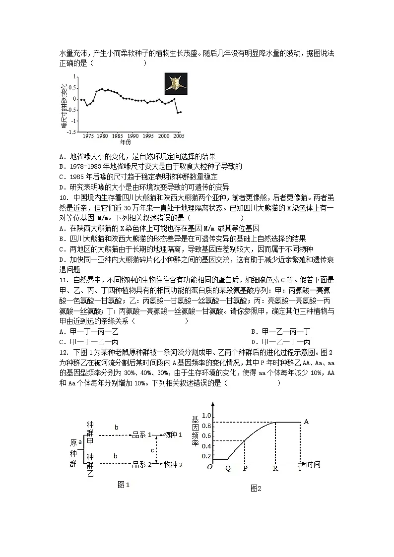 (人教版)2024-2025高一下学期生物(第6章 生物的进化)综合测试卷及答案第3页
