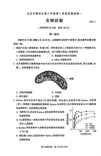 北京市朝阳区2025届高三下学期3月一模生物试题（PDF版附答案）