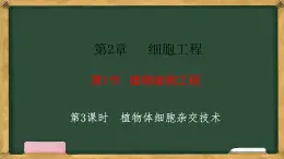 高中生物人教版選擇性必修3  2.1植物細(xì)胞工程  第3課時(shí)  植物體細(xì)胞雜交技術(shù) 課件