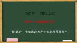 高中生物人教版選擇性必修3  2.2動(dòng)物細(xì)胞工程  第4課時(shí) 干細(xì)胞培養(yǎng)和體細(xì)胞核移植技術(shù) 課件