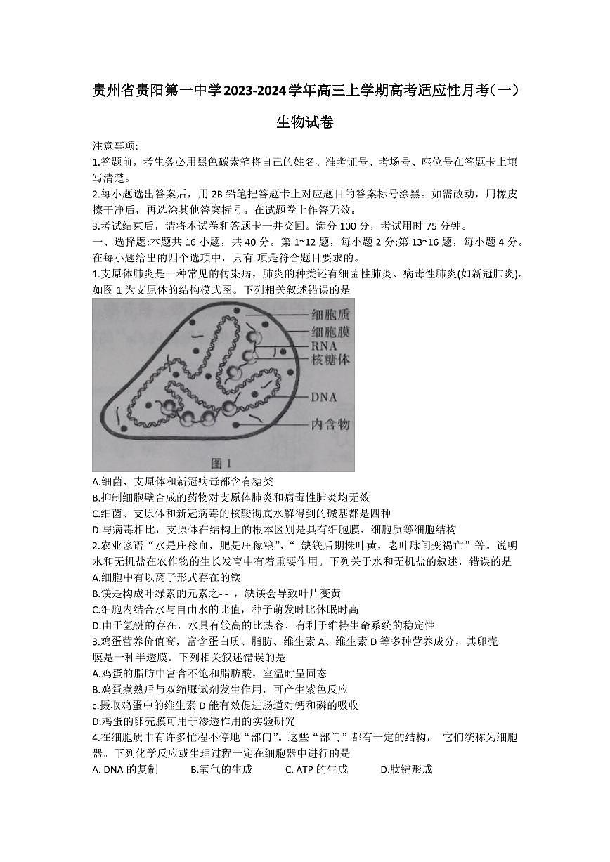 2024屆貴州省貴陽第一中學(xué)高三上學(xué)期高考適應(yīng)性月考（一）(9月)-生物試題（含答案）第1頁