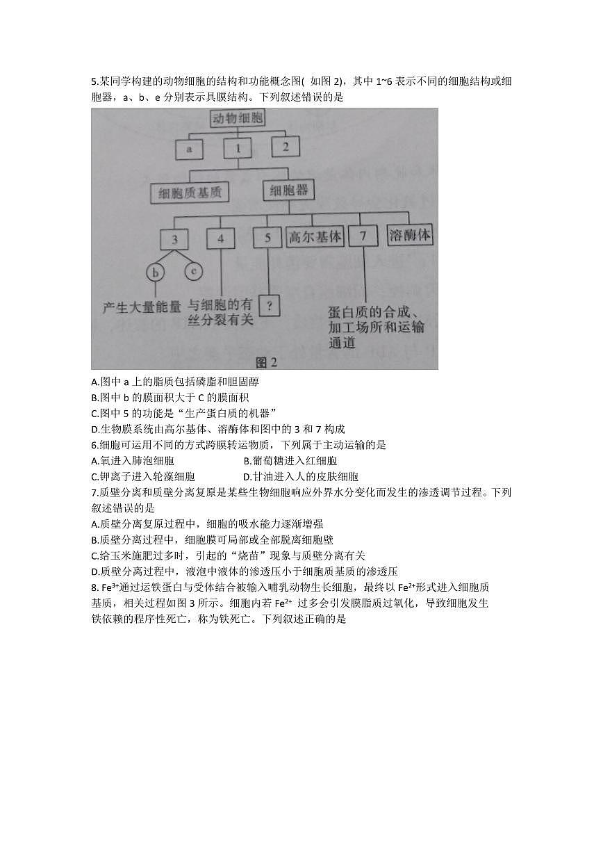 2024屆貴州省貴陽第一中學(xué)高三上學(xué)期高考適應(yīng)性月考（一）(9月)-生物試題（含答案）第2頁