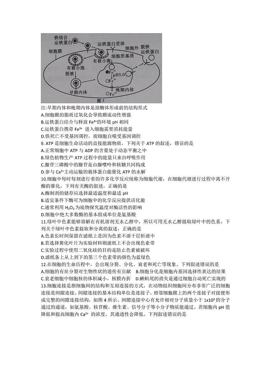 2024屆貴州省貴陽第一中學(xué)高三上學(xué)期高考適應(yīng)性月考（一）(9月)-生物試題（含答案）第3頁