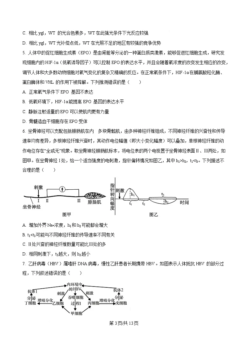 重庆市西南大学附属中学2024-2025学年高三下学期3月月考生物试题(原卷版)第3页