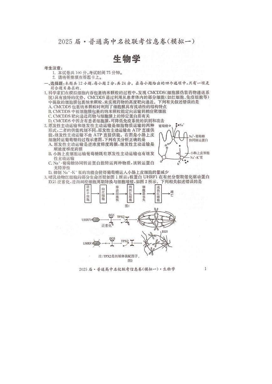 湖南省2025届普通高中高考模拟名校联考信息卷(一模)-生物试题+答案第1页