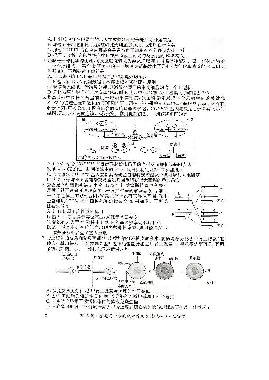 湖南省2025届普通高中高考模拟名校联考信息卷(一模)-生物试题+答案第2页