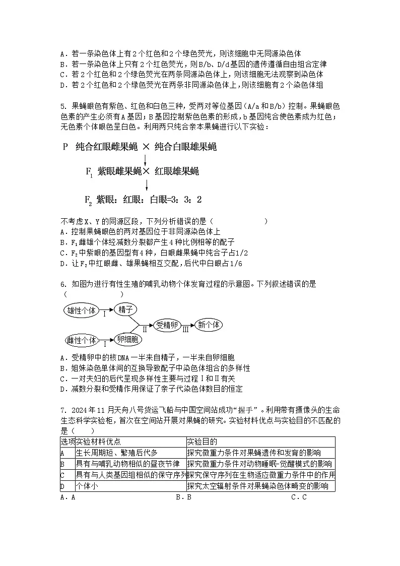 (人教版)2024-2025高一下学期生物期中考试卷+答案第2页