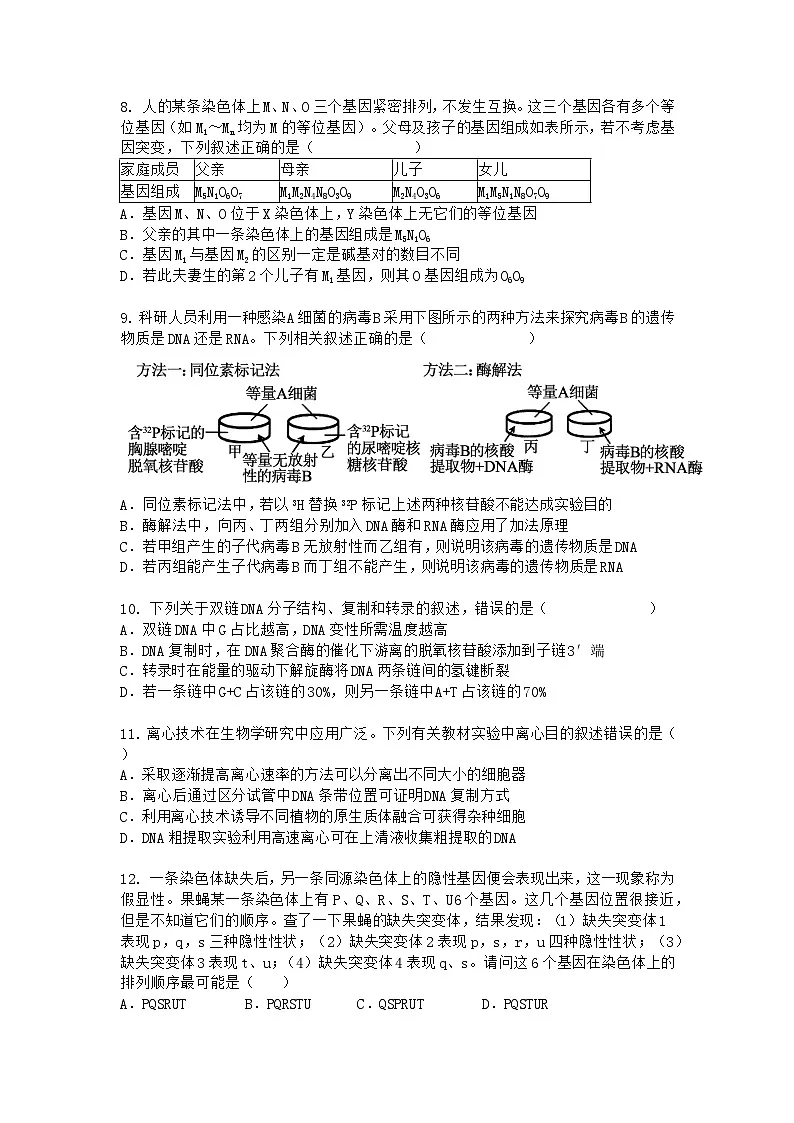 (人教版)2024-2025高一下学期生物期中考试卷+答案第3页