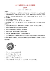 河南省2023_2024学年高二生物下学期4月月考试题含解析