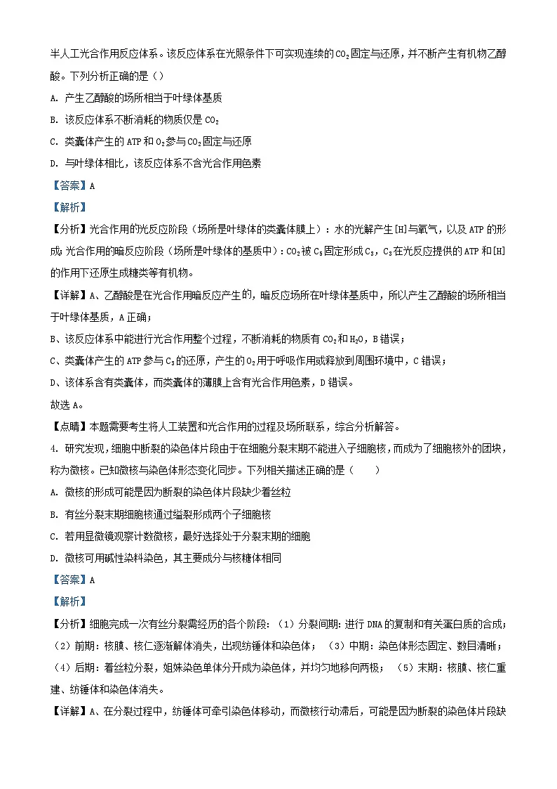 湖南省岳阳市岳阳县2023_2024学年高一生物下学期4月期中试题含解析第2页