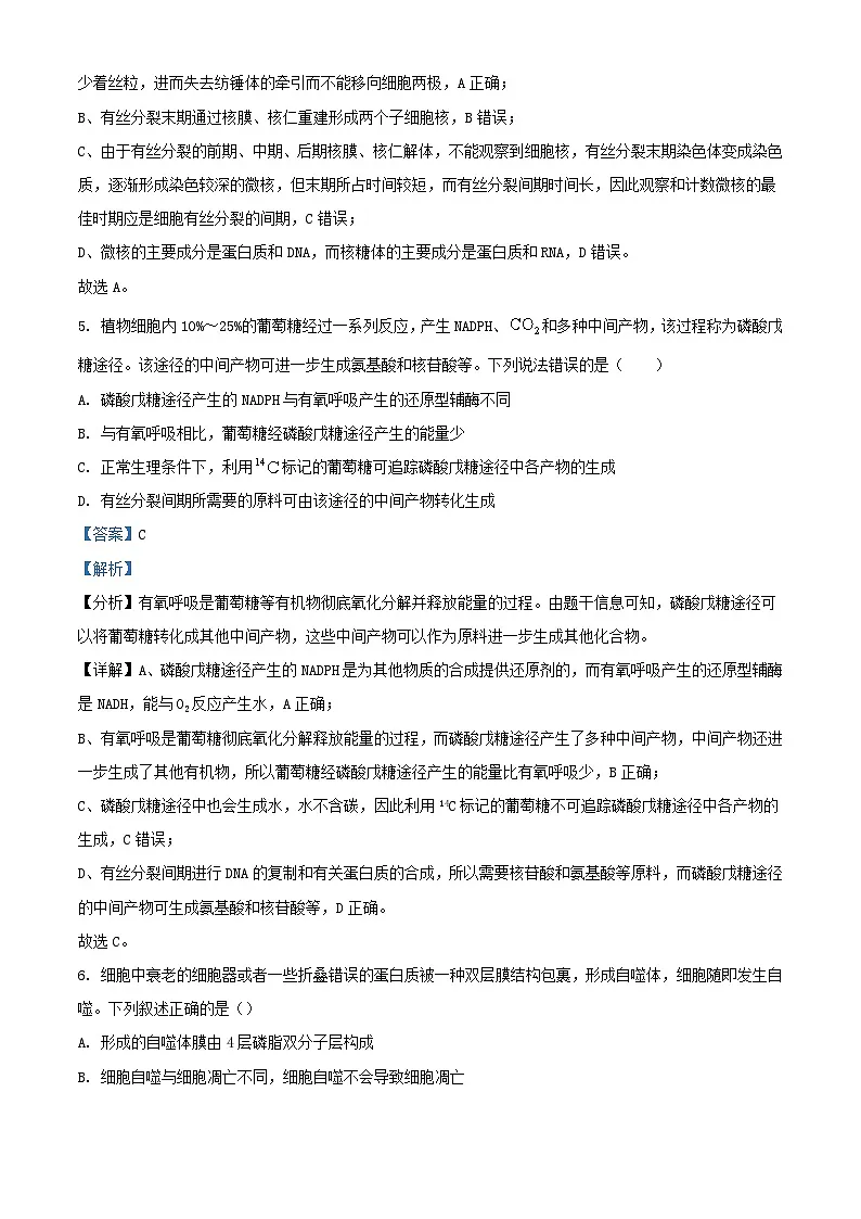 湖南省岳阳市岳阳县2023_2024学年高一生物下学期4月期中试题含解析第3页