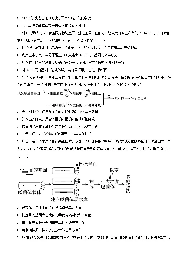 江苏省泰州市靖江市2023_2024学年高二生物下学期3月试题含解析第2页