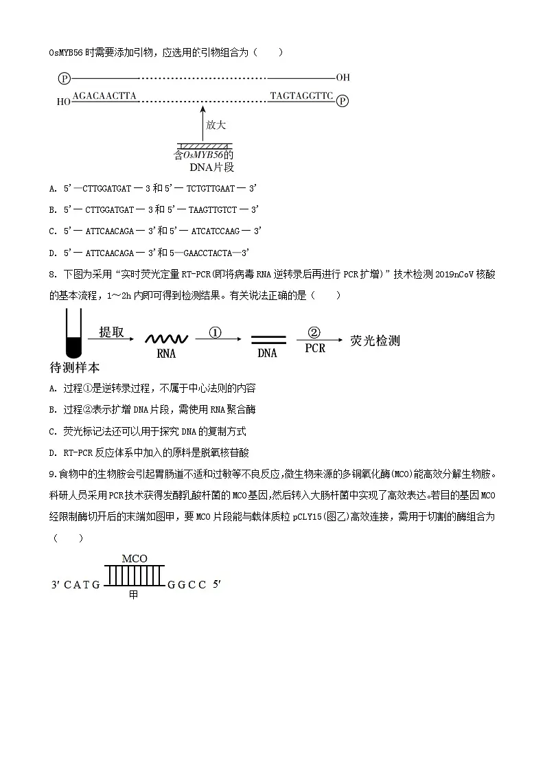 江苏省泰州市靖江市2023_2024学年高二生物下学期3月试题含解析第3页