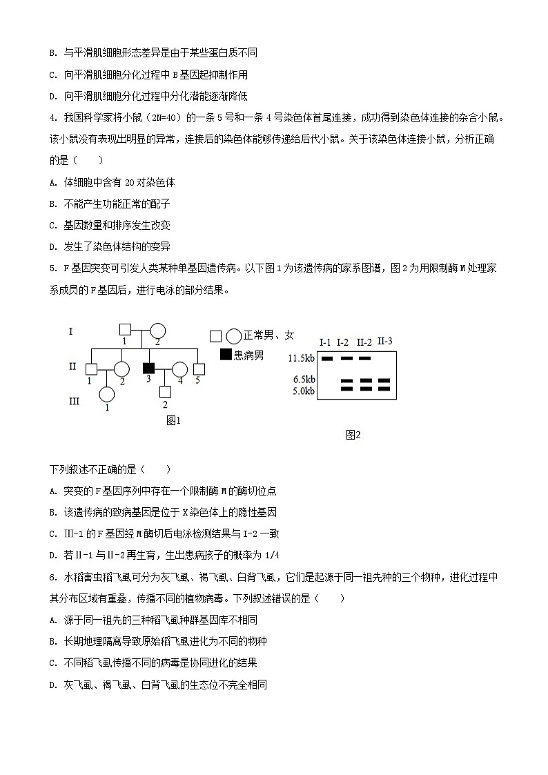 北京市朝阳区2024届高三生物下学期4月一模试题含解析第2页