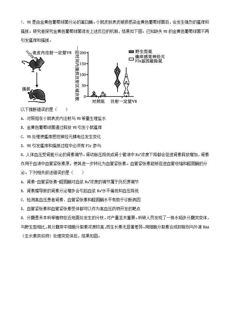 北京市朝阳区2024届高三生物下学期4月一模试题含解析第3页