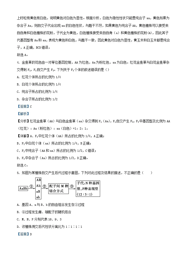 广东省2023_2024学年高一生物下学期第一次月考试题含解析第3页