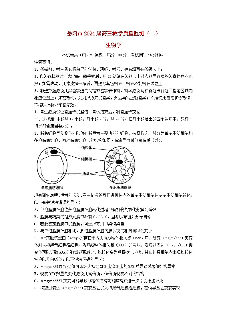 湖南省岳阳市2023_2024学年高三生物下学期二模试题第1页