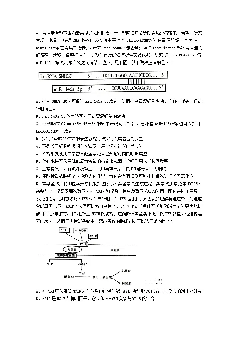 湖南省岳阳市2023_2024学年高三生物下学期二模试题第2页