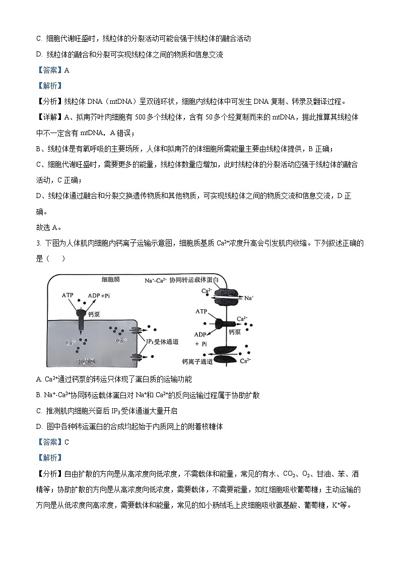 山东省济南市2024-2025学年高三上学期期末考试生物试题 含解析第2页
