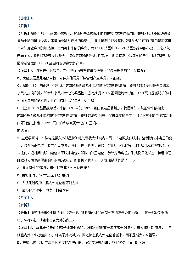 山东省潍坊市四市2024-2025学年高二上学期11月期中生物试题 含解析第3页