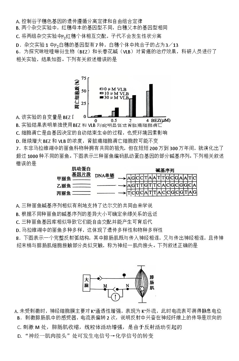 黑龙江省齐齐哈尔市2025届高三下学期3月二模考试 生物 含解析第2页