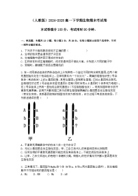 （人教版）2024-2025高一下学期生物期末考试卷+答案