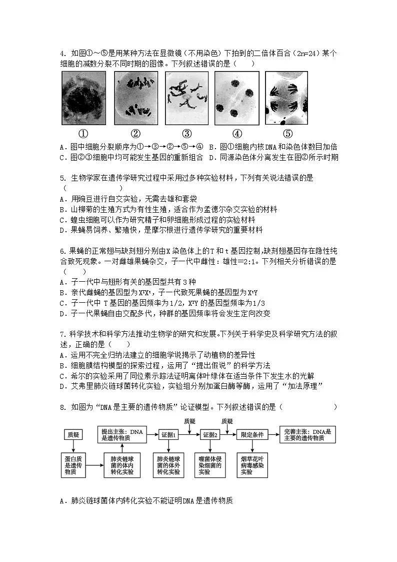 (人教版)2024-2025高一下学期生物期末考试卷+答案第2页