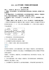 山东省聊城市2024-2025学年高二上学期1月期末考试生物试卷（Word版附解析）