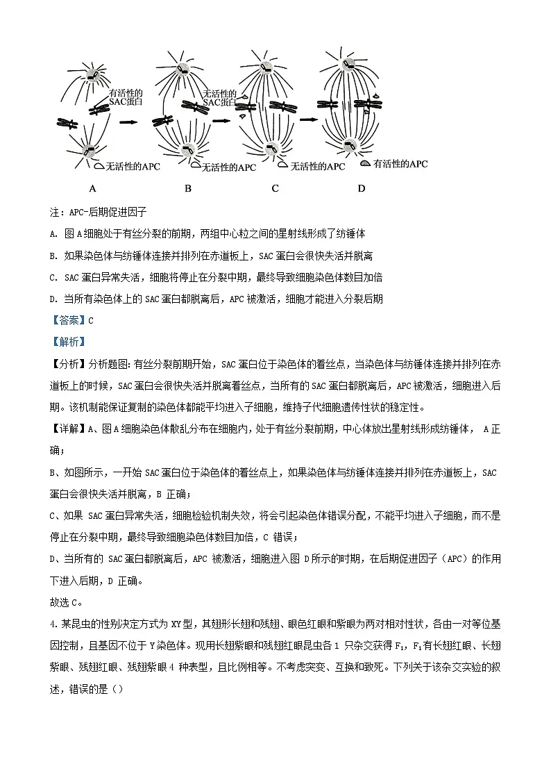 湖南省长沙市2024届高三生物月考试题六含解析第3页