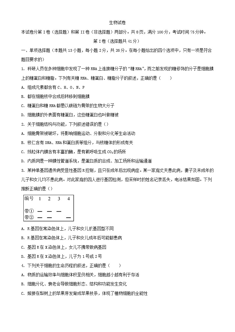 河北省衡水市部分高中2024届高三河北省衡水市部分高中2024届高三下学期一模试题生物含解析下学期一模试题含解析第1页