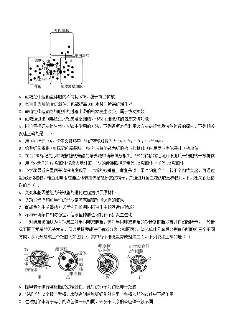 湖南省长沙市2024届高三生物下学期二模试题1含解析第2页