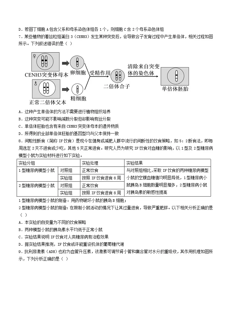 湖南省长沙市2024届高三生物下学期二模试题1含解析第3页