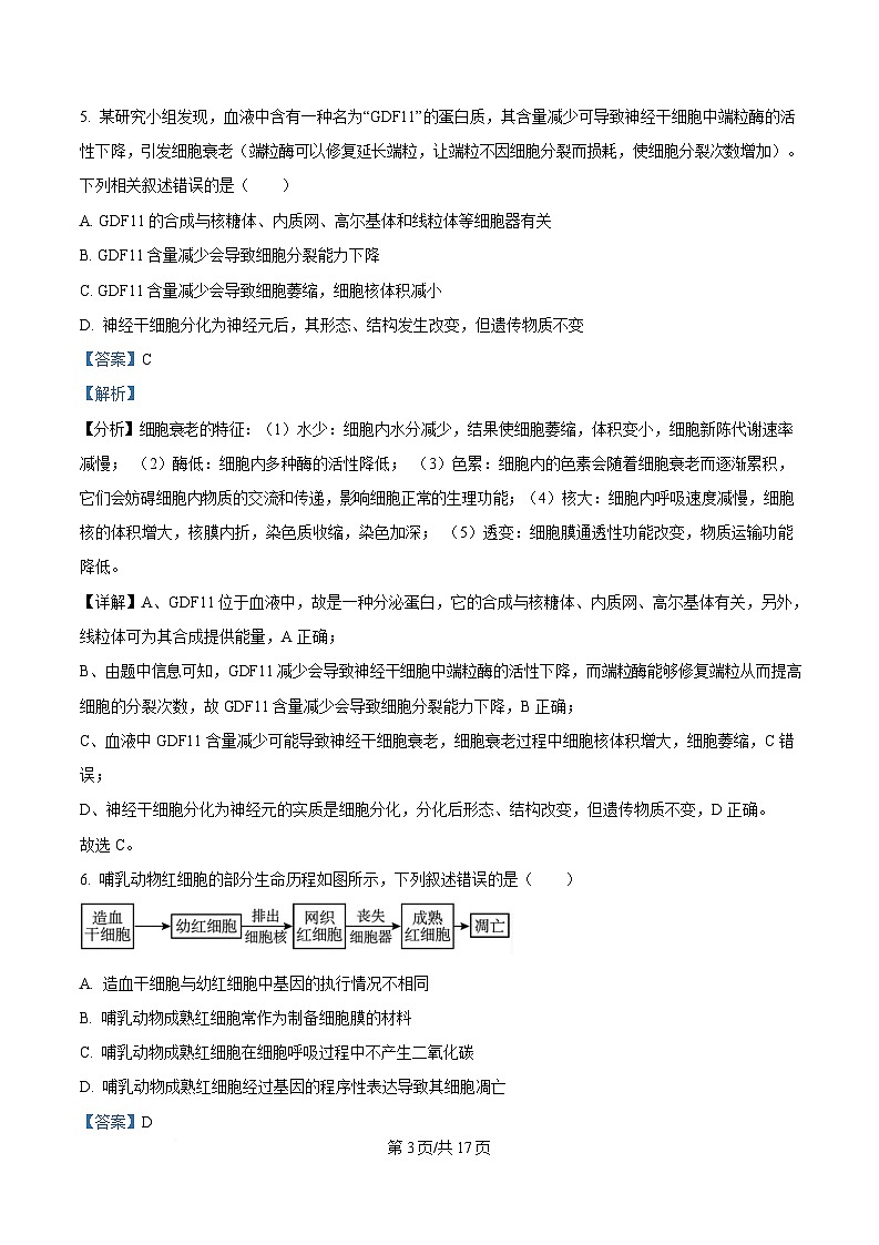 湖南省炎德英才名校联考联合体2024-2025学年高一下学期3月月考生物试题 Word版含解析第3页