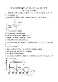湖南省长沙市雅礼教育集团2024-2025学年高一下学期3月联考生物试卷（Word版附解析）